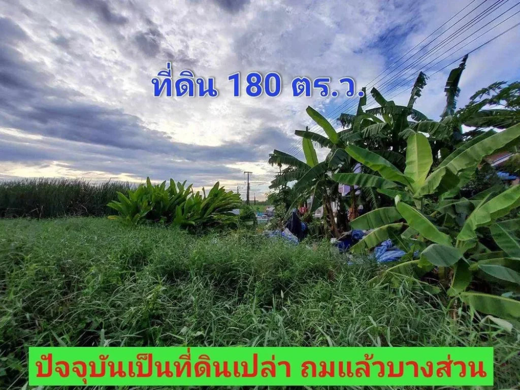 ขายด่วน ที่ดินคลองสาม 180 ตารางวา ติดถนนลาดยางมีไฟฟ้า ประปา คลองสาม ซอย 13 อคลองหลวง