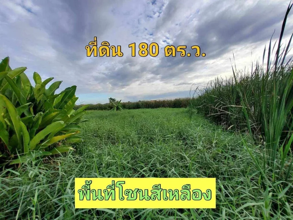 ขายด่วน ที่ดินคลองสาม 180 ตารางวา ติดถนนลาดยางมีไฟฟ้า ประปา คลองสาม ซอย 13 อคลองหลวง