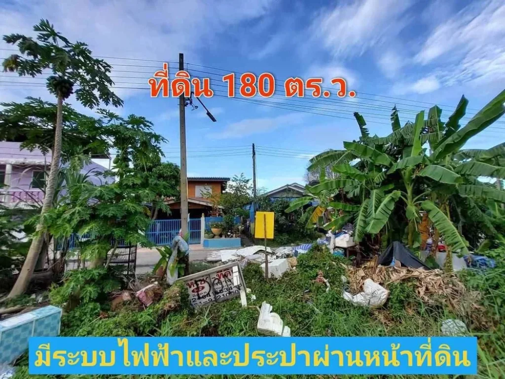 ขายด่วน ที่ดินคลองสาม 180 ตารางวา ติดถนนลาดยางมีไฟฟ้า ประปา คลองสาม ซอย 13 อคลองหลวง