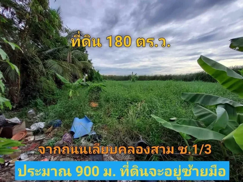 ขายด่วน ที่ดินคลองสาม 180 ตารางวา ติดถนนลาดยางมีไฟฟ้า ประปา คลองสาม ซอย 13 อคลองหลวง