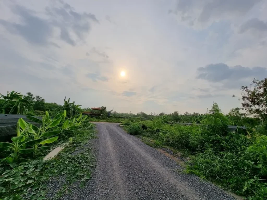 ขายที่ดิน 100 ตรว ซ149 คลองสาม คลองหลวง ปทุมธานี ที่ดินตั้งอยู่ ตคลองสาม อคลองหลวง ปทุมธานี