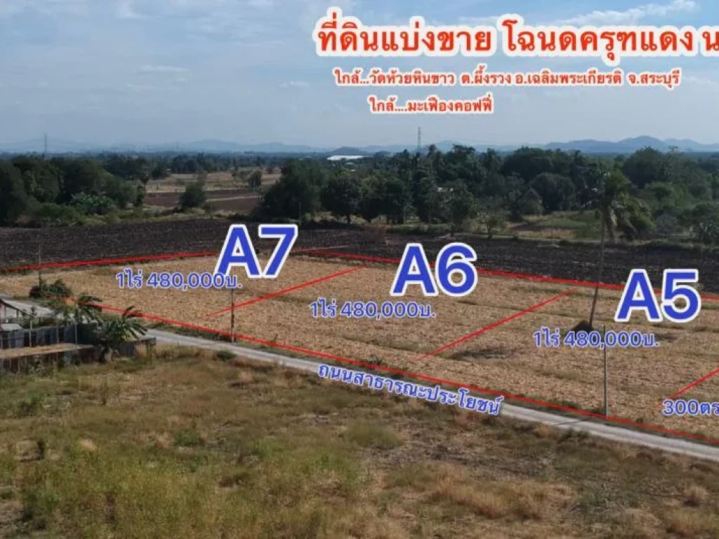 ขายที่ดินโฉนดครุฑแดง ขายที่ดินแบ่งขาย 1 ไร่ ตผึ้งรวง อเฉลิมพระเกียรติ จสระบุรี