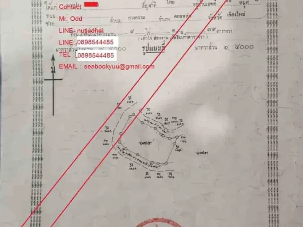 ขายที่ดินแปลงสวย 9-2-79 ไร่ ยางคราม เชียงใหม่ ติดถนนใหญ่ เดินทางสะดวก ในเชียงใหม่