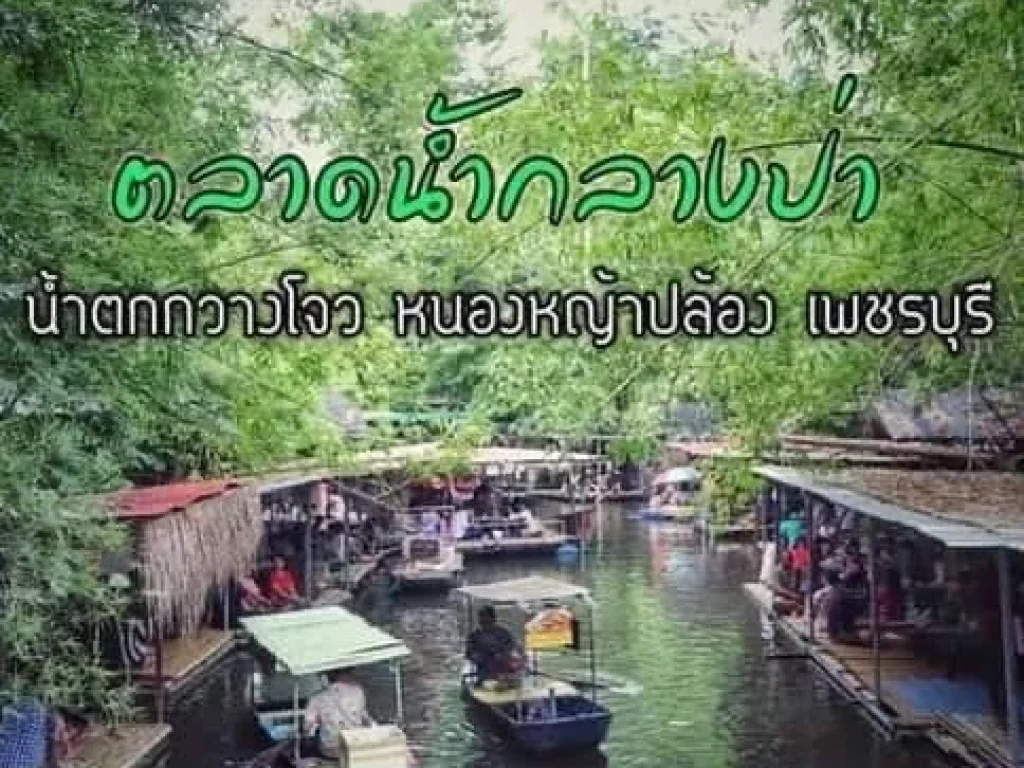 แบ่งขายที่ดินเพชรบุรี หนองหญ้าปล้อง ราคาถูกเจ้าของขายเองเริ่มต้นที่ 200 ตรว