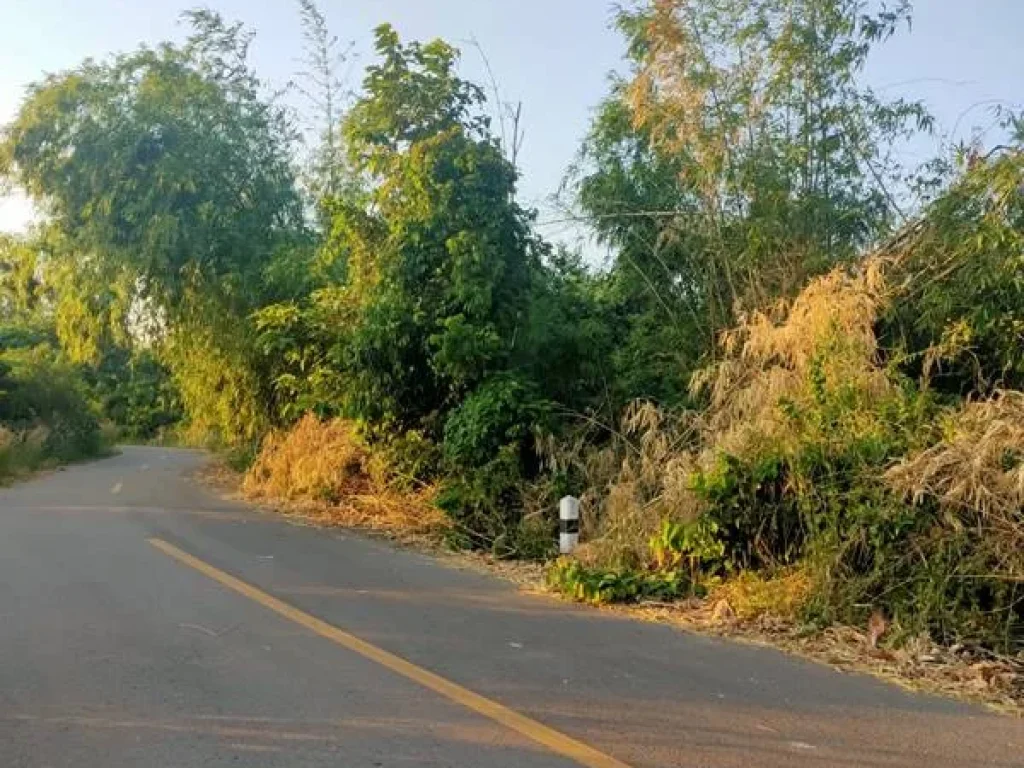 ที่ดินสวยใกล้ถนนสุวรรณศรใหม่ จปราจีนบุรี แหล่งคมนาคมกำลังเจริญเติบโตและจะขยายเพิ่มในอนาคตอันใกล้ ควรค่าแก่การครอบครอง