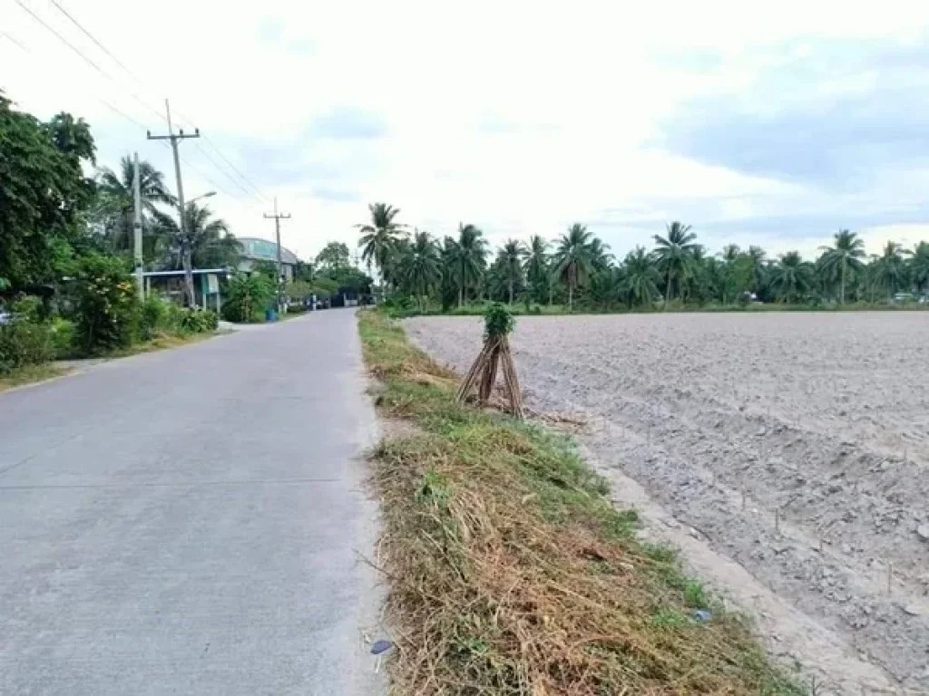 ขายที่ดินEEC ทำเลดี ใกล้ถนนมอเตอร์เวย์เพียง 250 เมตร ติดถนน2ฝั่ง