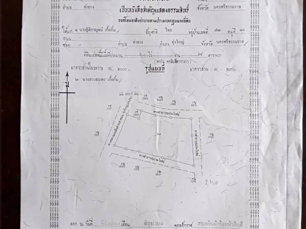 ที่ 6 ไร่ 64 วา หน้ากว้างติดถนน 4 ด้าน ทั้งถนนใหญ่และถนนซอย น้ำไฟพร้อม เยื้ยงโรงแรมทุ่งใหญ่ธานี 2 กมจากใจกลางอำเภอทุงใหญ่ นครศรีธรรมราช