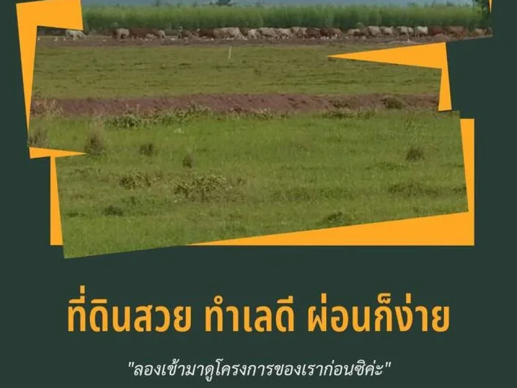 ขายที่ดิน ติดถนน ราคาถูก ใกล้กรุงเทพ ในจังหวัดกาญจนบุรี