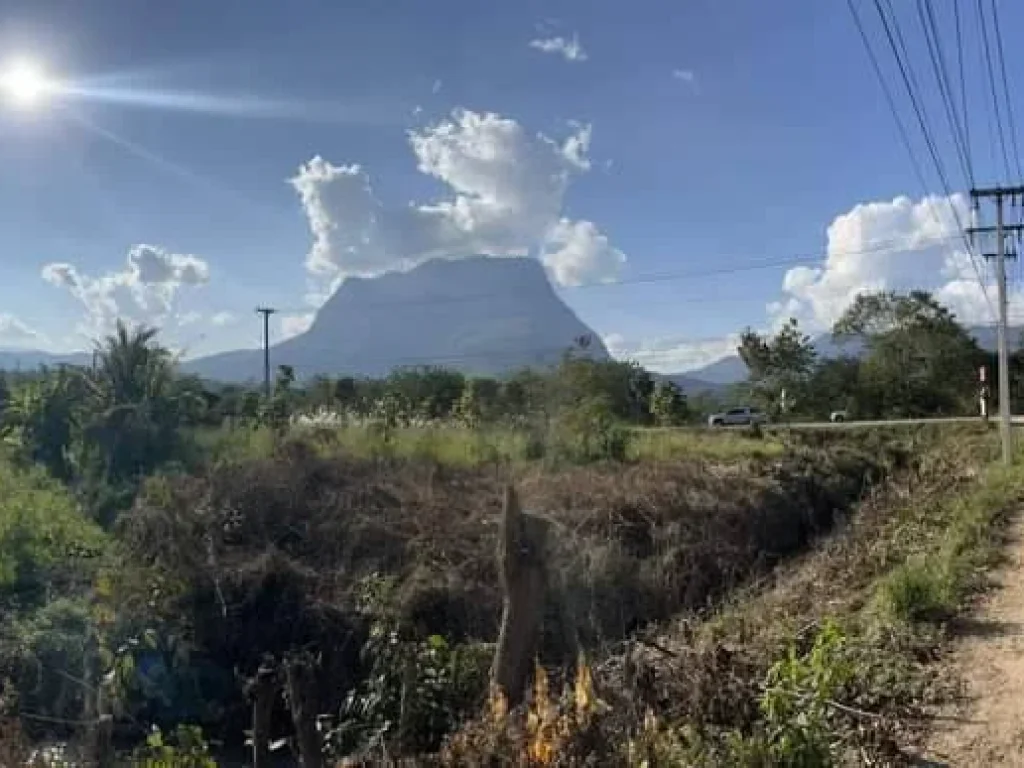 ขายที่ดินติดถนนค้าขายได้ เชียงดาว วิวดอยหลวง พร้อมโอน