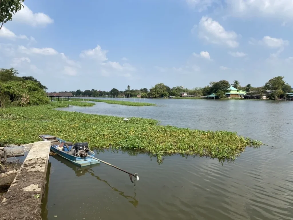 ที่ดินและบ้าน ริมแม่น้ำนครชัยศรี อำเภอนครชัยศรี จังหวัดนครปฐม