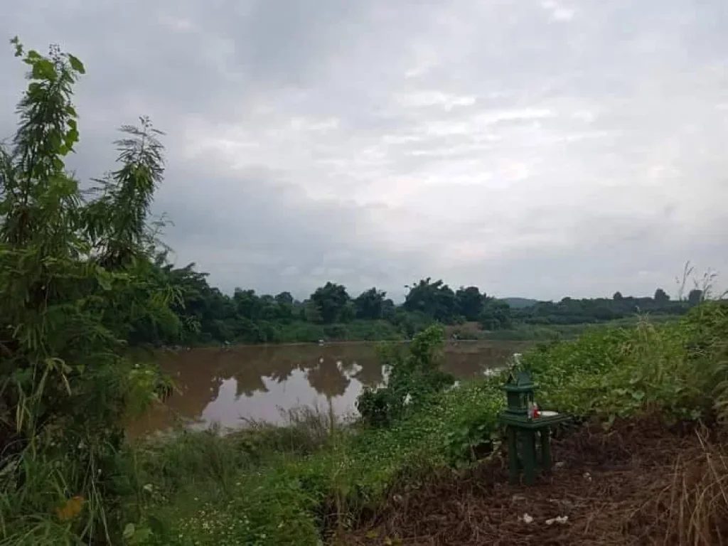 ขายที่ดินบ้านข่วงเปาใต้ติดแม่น้ำปิงจอมทองโฉนดพร้อมโอนราคาถูก