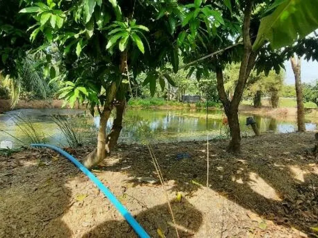 ที่ดินพร้อมบ้านสวน ในเขตเทศบาล อำเภอเมืองสุพรรณบุรี