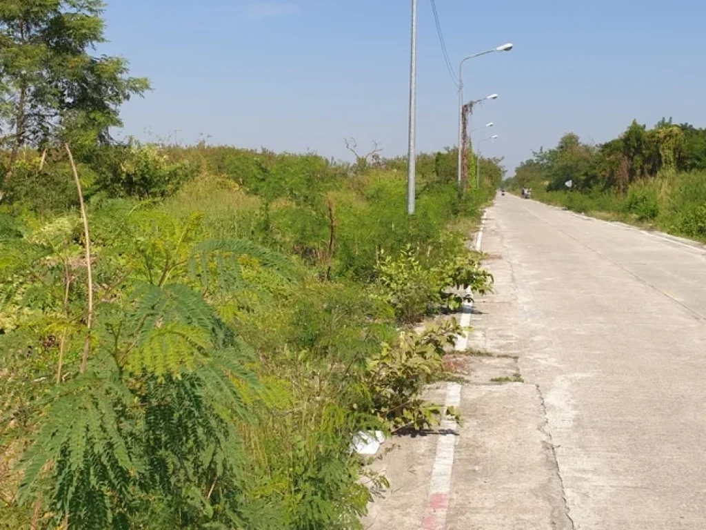 ขายที่ดินหลังโรงเรียนวัดอัยยิการาม จังหวัดปทุมธานี