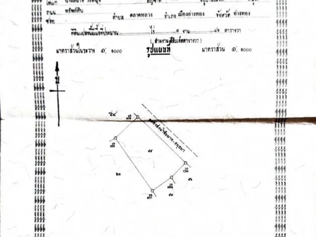 ขายที่ดิน ติดถนนใหญ่ และวัดกำแพง อำเภอไชโย จังหวัดอ่างทอง