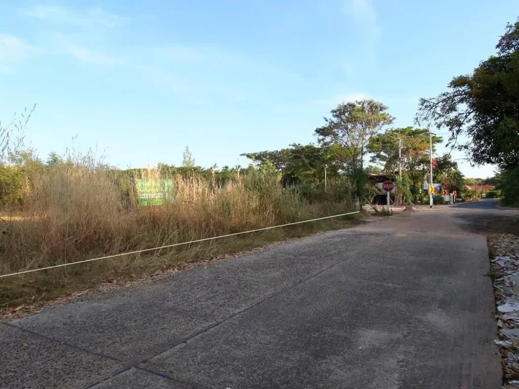 ที่ดิน เหมาะสร้างบ้านจัดสรร ใกล้ถนนเลี่ยงเมืองอุบลฯ231 ติดถนนหัวแปลงท้ายแปลง ใกล้ 3 แยกตัดใหม่ ไป รพ 50 พรรษา