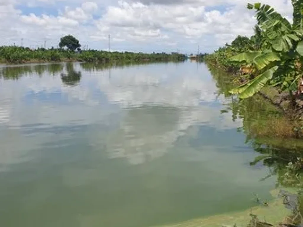 ขายที่ดินเปล่า ติดถนนคอนกรีต จังหวัดสมุทรปราการ เจ้าของขายเอง