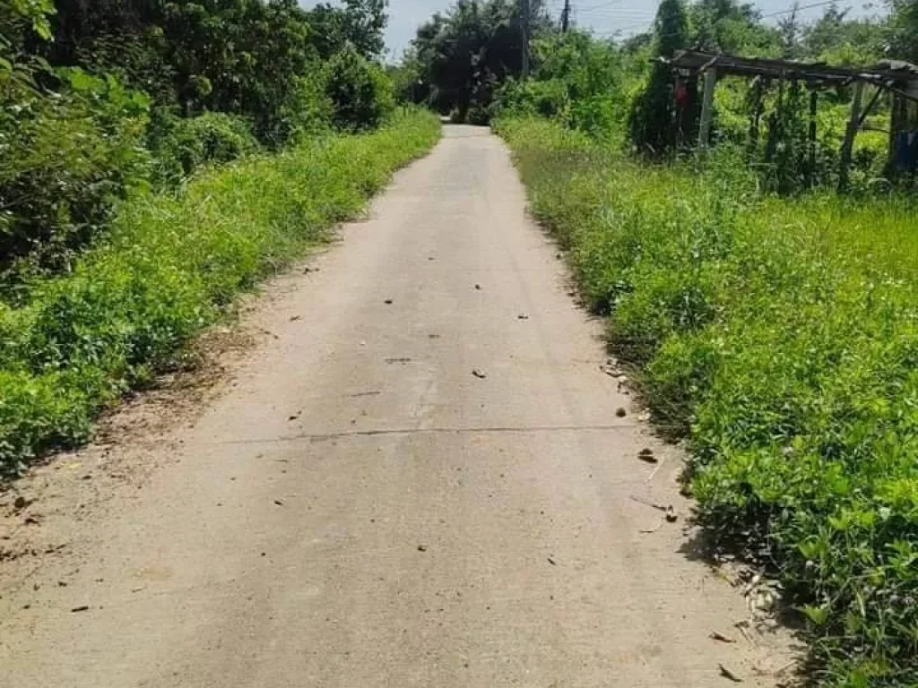 ขายที่นาติดลำเหมืองสาธารณะบวกค้างสันกำแพงวิวดอยโฉนดพร้อมโอน