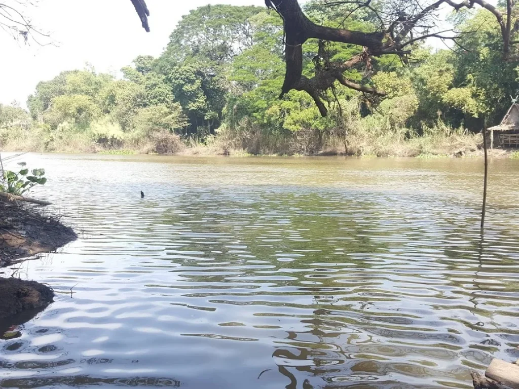 ที่ดินติดแม่น้ำลพบุรี จพระนครศรีอยุธยา รหัสทรัพย์ อย028 ขายที่ดินพร้อมสิ่งปลูกสร้าง ติดแม่น้ำลพบุรี เนื้อที่ 1-0-62 ไร่