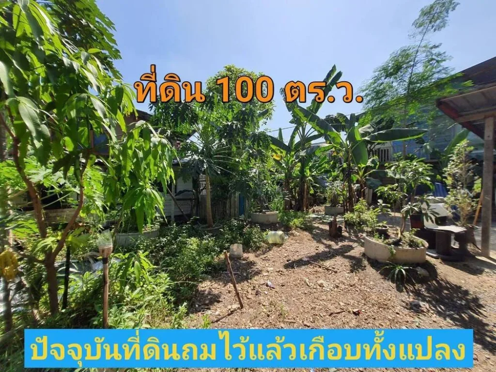 ขายถูก ที่ดินบางบัวทอง 100 ตารางวา ใกล้ถนน345 ซอยสุเหร่าปากคลองลำรี ตละหาร จนนทบุรี