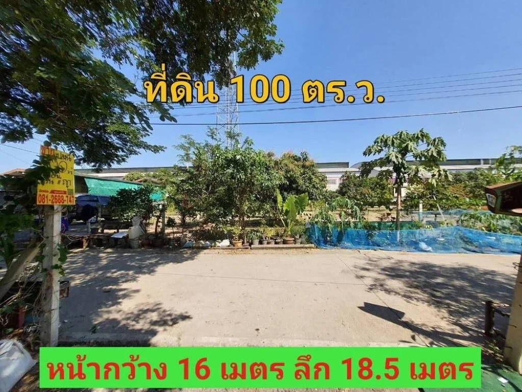 ขายถูก ที่ดินบางบัวทอง 100 ตารางวา ใกล้ถนน345 ซอยสุเหร่าปากคลองลำรี ตละหาร จนนทบุรี