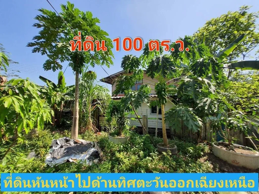 ขายถูก ที่ดินบางบัวทอง 100 ตารางวา ใกล้ถนน345 ซอยสุเหร่าปากคลองลำรี ตละหาร จนนทบุรี