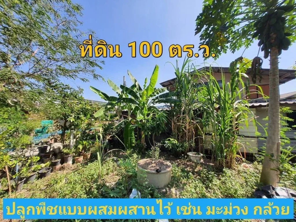 ขายถูก ที่ดินบางบัวทอง 100 ตารางวา ใกล้ถนน345 ซอยสุเหร่าปากคลองลำรี ตละหาร จนนทบุรี