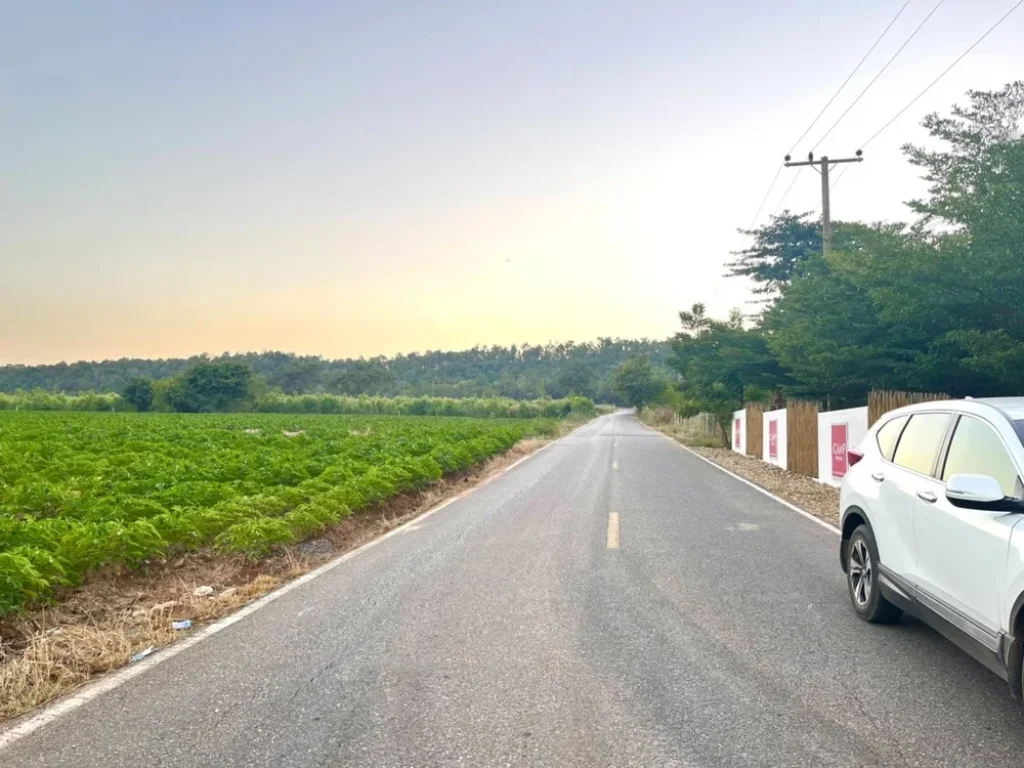 ขายที่วิวเขา โฉนดครุฑแดง ติดถนนลาดยาง น้ำไฟพร้อม 