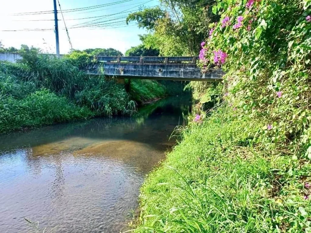 ขายที่ดินติดลำธาร วิวภูเขา น้ำแพร่ อหางดง เชียงใหม่