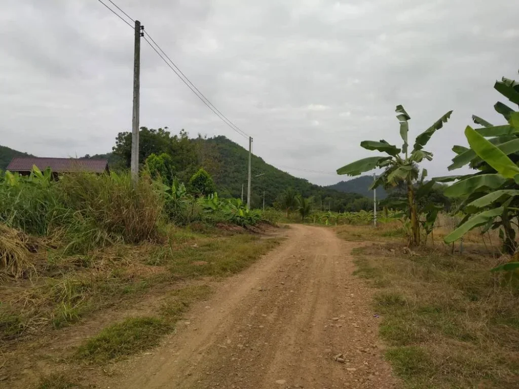 ขายที่ดินติดแม่น้ำเพชร 4-3-30ไร่ ตกลัดหลวง วิวเขา น้ำไม่ท่วม