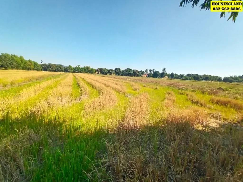 ขายที่ดินทำเลทอง ตำบล ศรีนาวา อำเภอเมืองนครนายก จังหวัดนครนายก