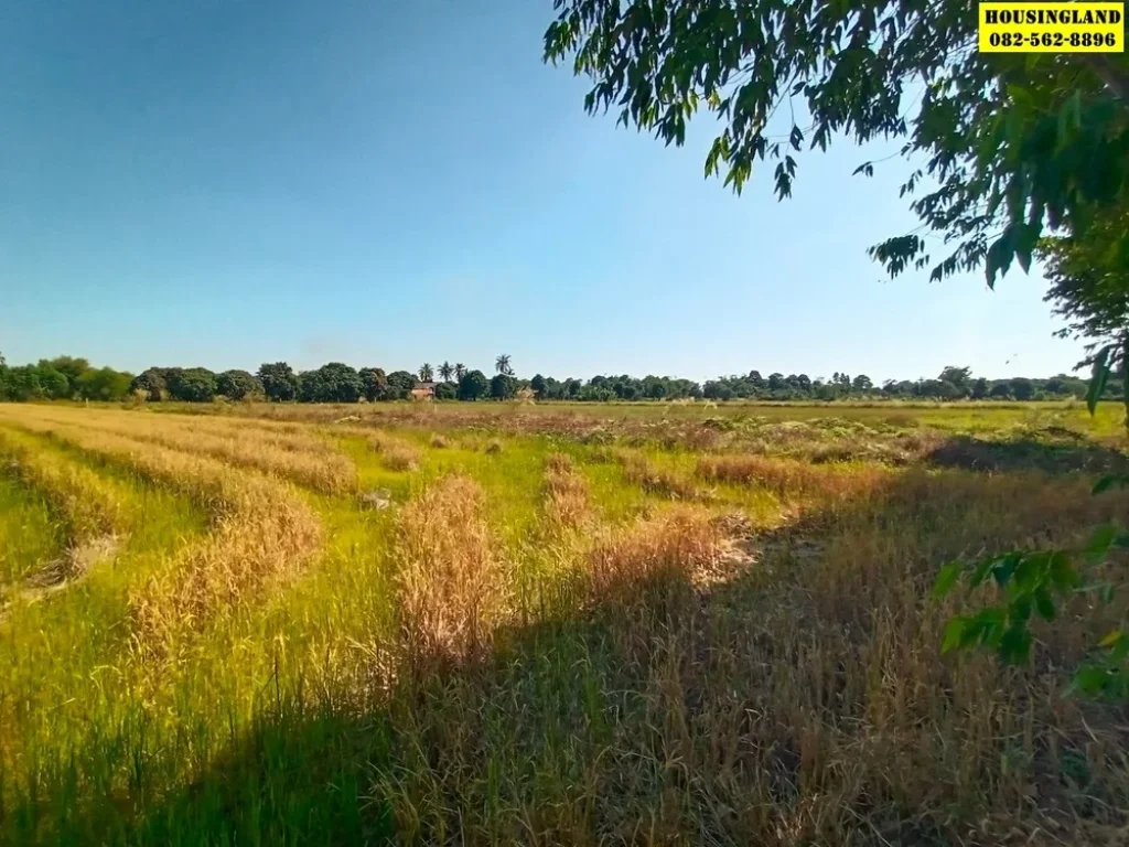 ขายที่ดินทำเลทอง ตำบล ศรีนาวา อำเภอเมืองนครนายก จังหวัดนครนายก