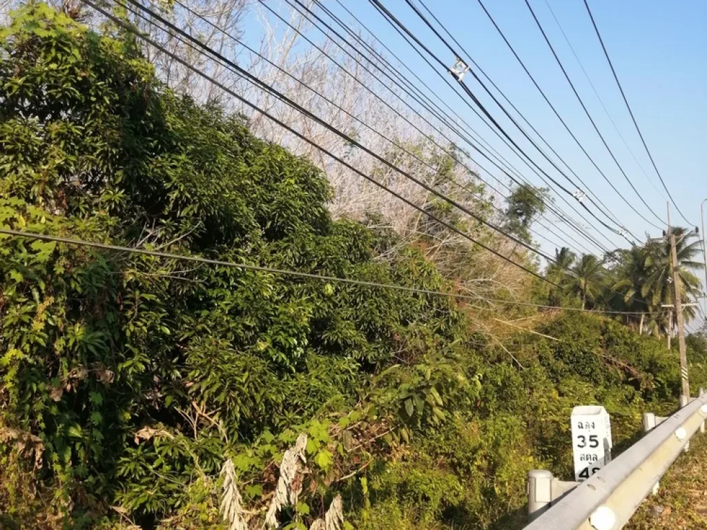 ขายที่ดิน ติดถนนทางหลวง 416 อละงู จสตูล ห่างจากท่าเรือปากบารา 12 กม