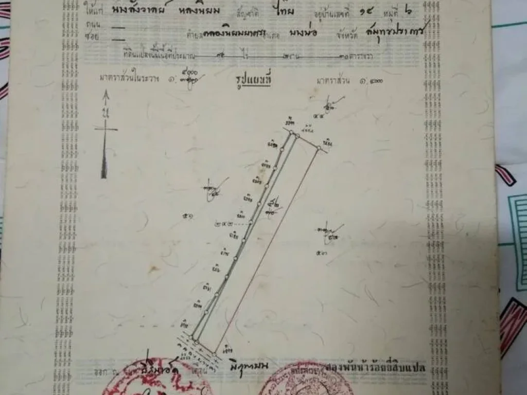 ขายที่ดินทำนา ทำเลดี ร่มรื่น อำเภอบางบ่อ สมุทรปราการ