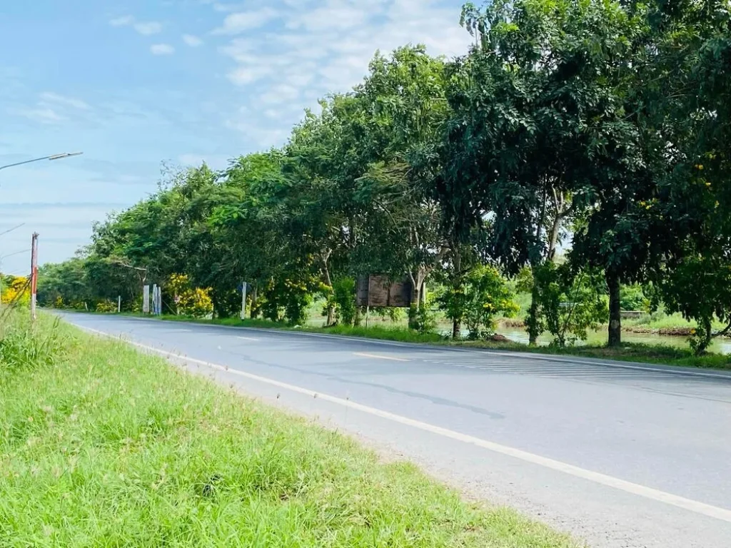 ขายที่ดินติดถนน ประตูน้ำพระอินทร์ เลียบคลองระพีพัฒน์