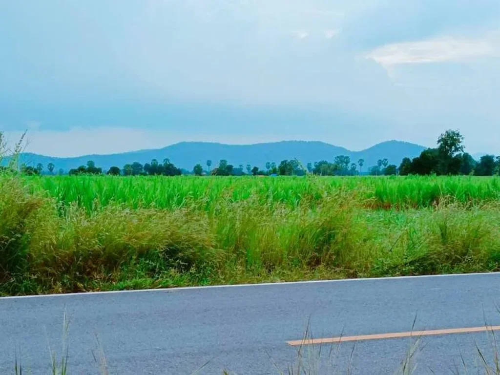 ขายที่ดินอู่ทองวิวเขาสวย ติดถนนลาดยางบรรยากาศดี เหมาะสร้างบ้านสวนปลูกผักอยู่ยามเกษียณ