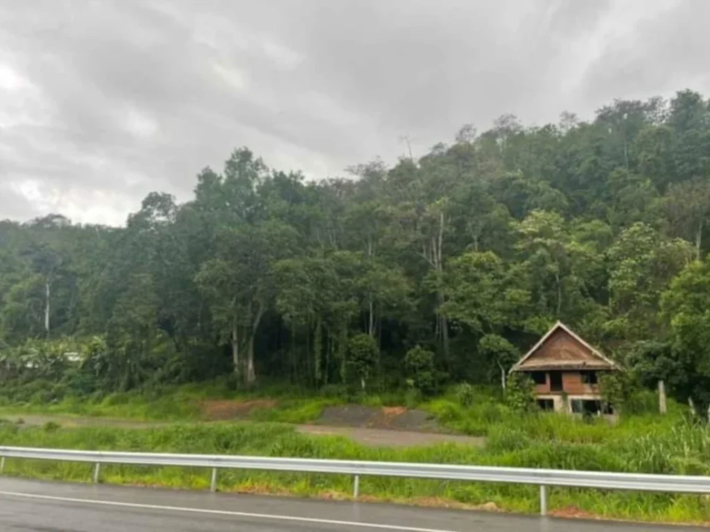 ขายที่ดินป่าเมี่ยงดอยสะเก็ตติดถนนสาย 118 ทำทองโฉนดพร้อมโอน