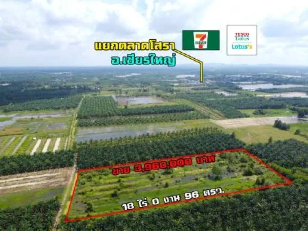 ขาย ที่ดิน ใกล้ตลาดโสรยา อำเภอเชียรใหณา 18 ไร่ 0 งาน 96 ตรวา