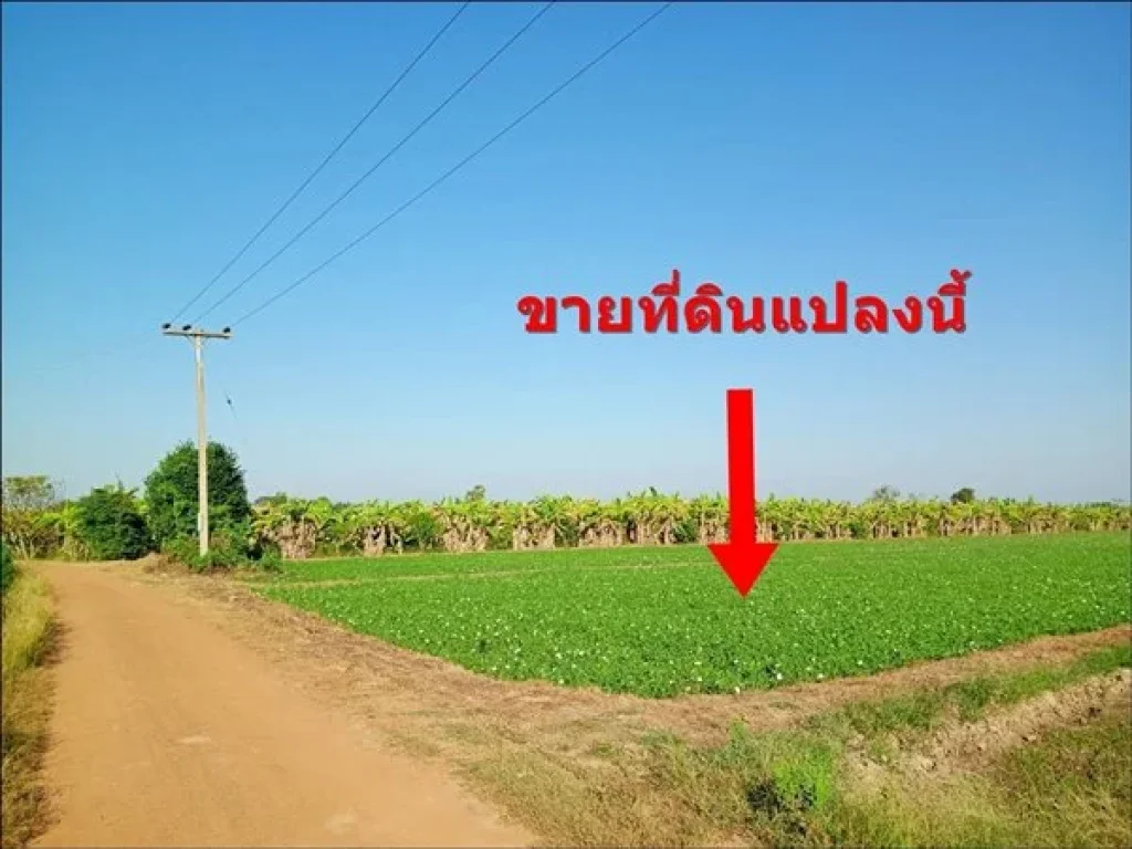 ขายที่ดิน 4 ไร่ 16 ตรวา ที่ดินไม่ต้องถม ใกล้ อบตปากน้ำ ใกล้ วัดปากน้ำ ใกล้ สนามบินสุโขทัย