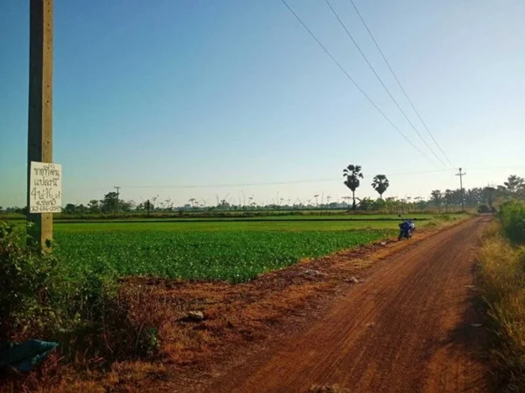 ขายที่ดิน 4 ไร่ 16 ตรวา ที่ดินไม่ต้องถม ใกล้ อบตปากน้ำ ใกล้ วัดปากน้ำ ใกล้ สนามบินสุโขทัย