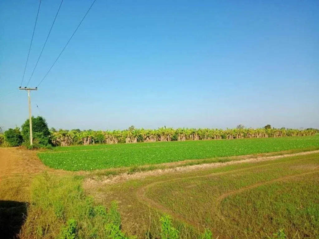 ขายที่ดิน 4 ไร่ 16 ตรวา ที่ดินไม่ต้องถม ใกล้ อบตปากน้ำ ใกล้ วัดปากน้ำ ใกล้ สนามบินสุโขทัย