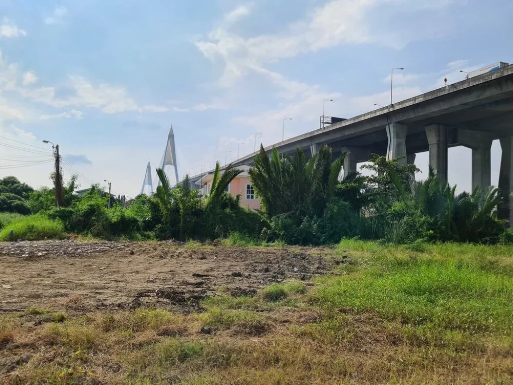 ขายที่ดินสวยๆ เทศบาลสำโรงใต้ 21 ซอยวัดบางหญ้าแพรก บางหัวเสือ พระประแดง สมุทรปราการ วิวสะพานภูมิพล เนื้อที่ 3 ไร่ 20 ตรวถมแล้ว ขายรวม 305 ลบ