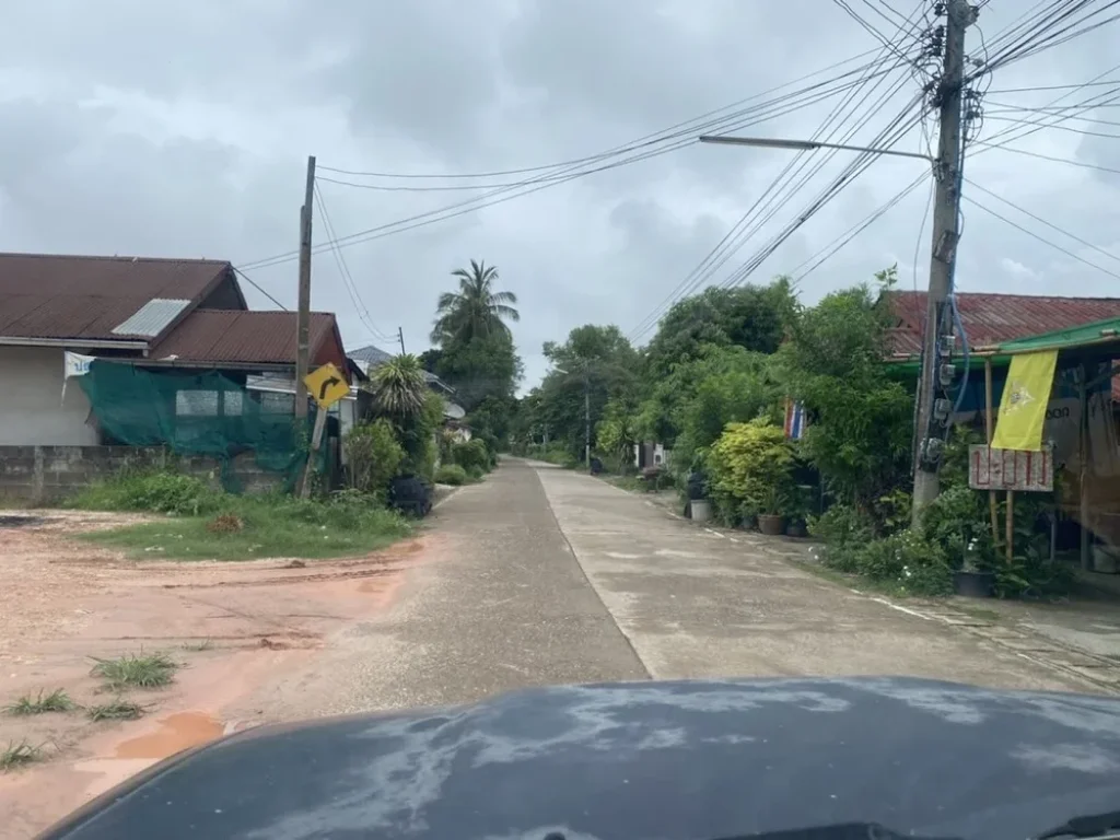 ขายที่ติดริมโขง บ้านป่าสัก ตบ้านหม้อ อศรีเชียงใหม่ จหนองคาย