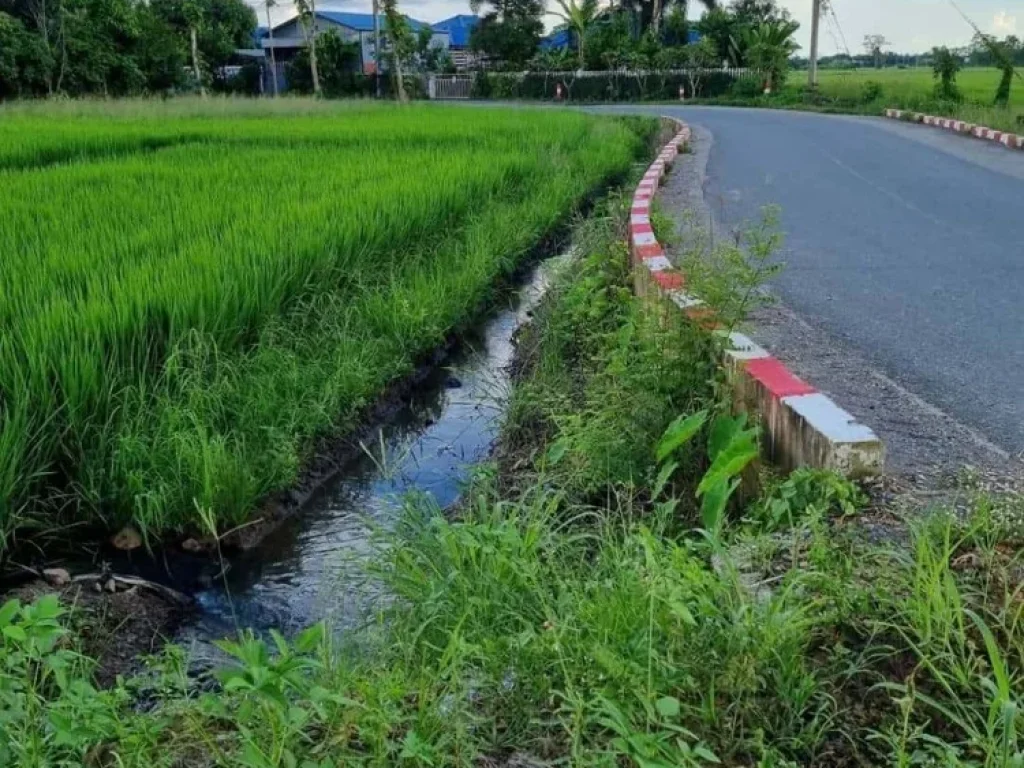 ขายที่ดินติดลำเหมือง 11-1-74 ไร่ อดอยสะเก็ด เชียงใหม่