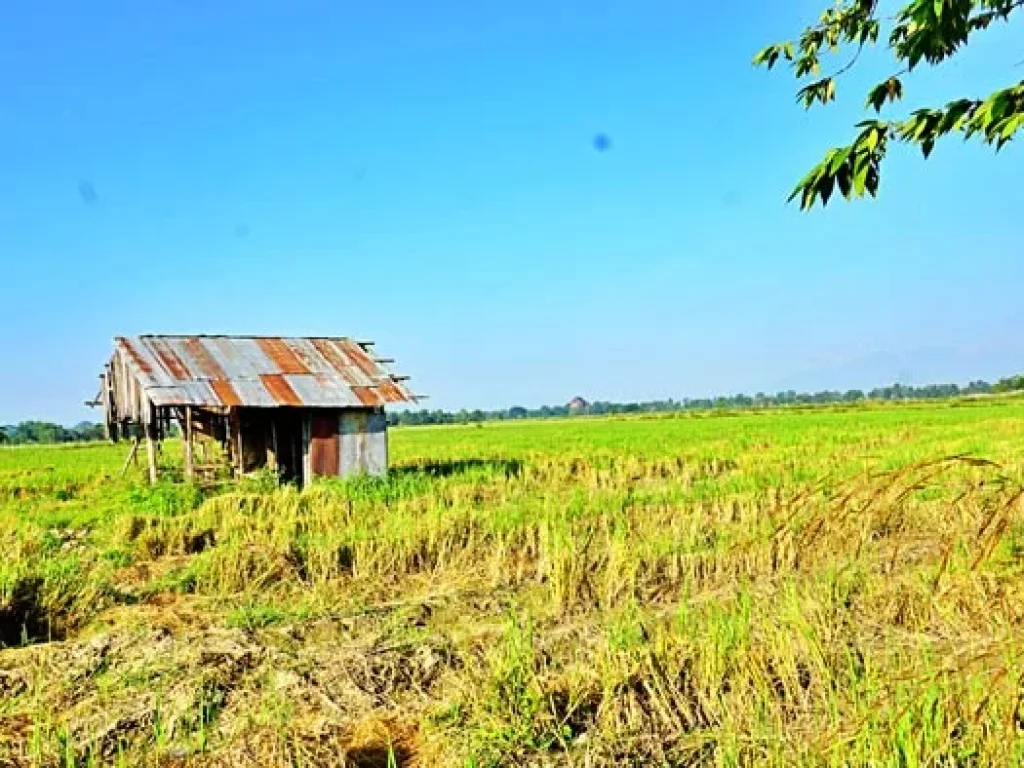 ขายที่ดิน ใกล้โรงพยาบาลสันกำแพง ไม่ไกลจากโครงการก่อสร้างสนามบินใหม่