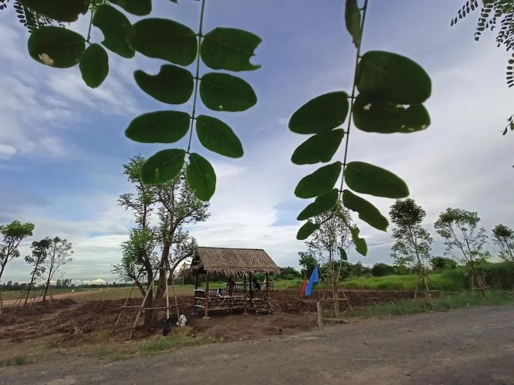 ขายที่ดินแปลงพรี่เมี่ยม แปลงมุม ติดถนน 3 ด้าน บ้านสวนคลอง 14 องค์รักษื นครนายก