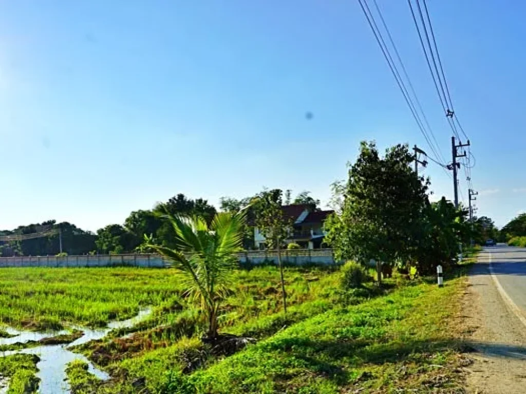 ขายที่ดิน ติดถนน ชม4015 ใกล้ถนนสันกำแพงสายใหม่ ไม่ไกลจากโครงการสนามบินใหม่