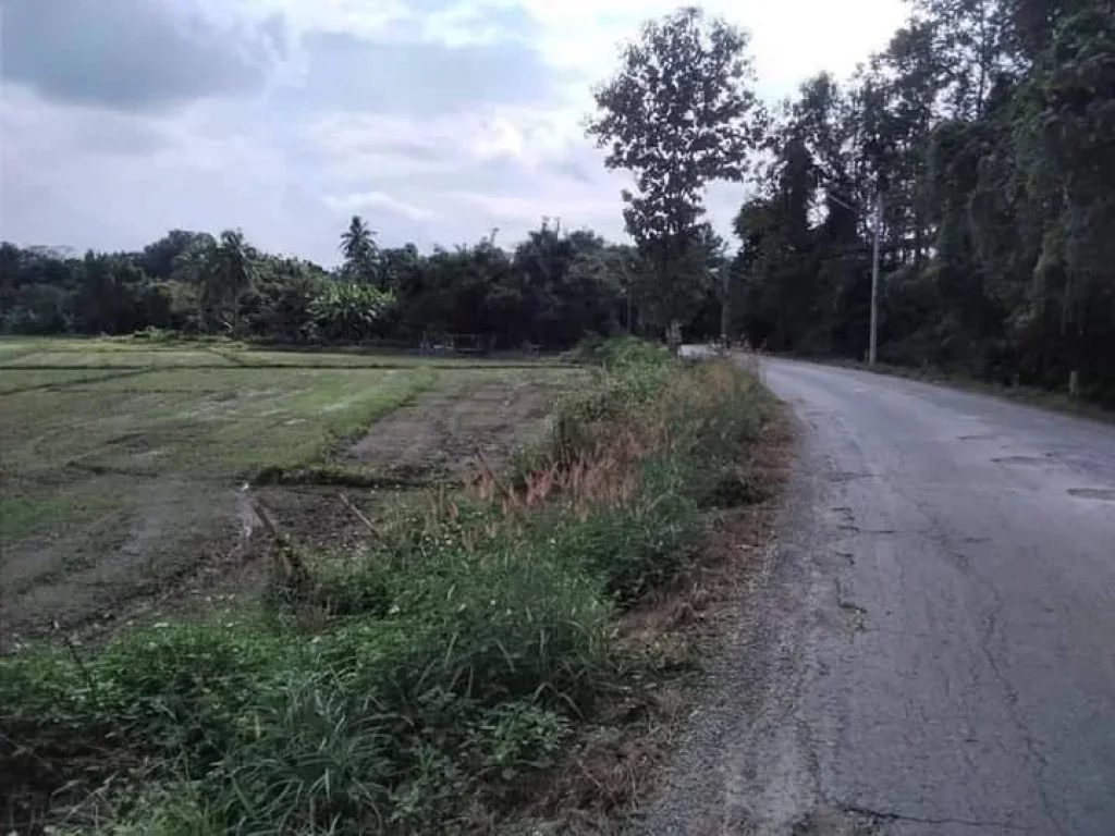 ขายที่ดินบ้านมะขุนหวานสันป่าตอง วิวดอย ถนนคอนกรีตโฉนดพร้อมโอน