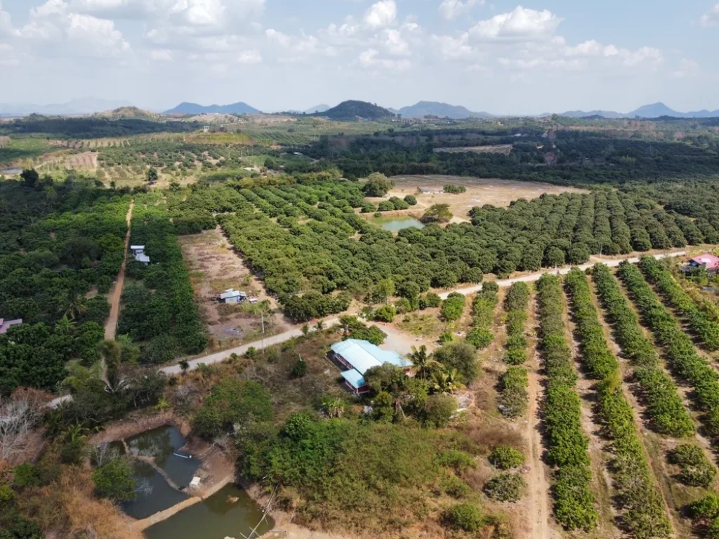 ขายที่ดินสวนลำไย พร้อมบ้านพัก ตปะตง อสอยดาว จจันทบุรี ติดถนน 37 ไร่