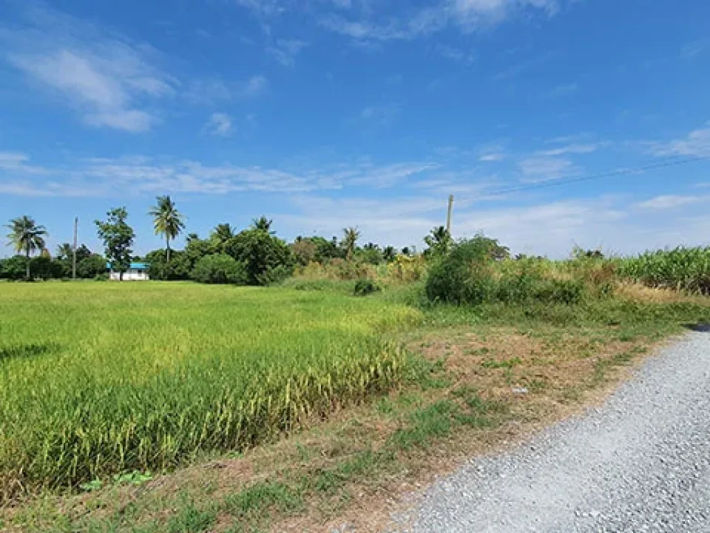 วิวท้องทุ่ง บรรยากาศดีมากๆติดทางสาธารณะ 2 ด้านติดคลองชลประทานส่งน้ำ2ด้าน 6ไร่ เศษ