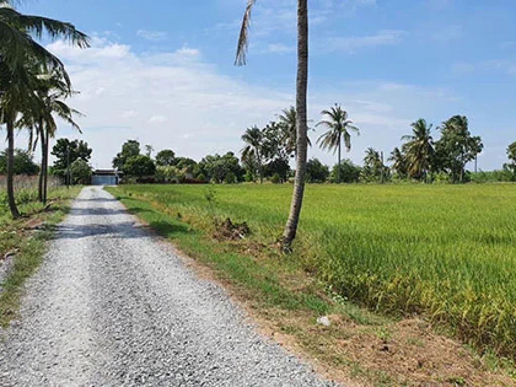 วิวท้องทุ่ง บรรยากาศดีมากๆติดทางสาธารณะ 2 ด้านติดคลองชลประทานส่งน้ำ2ด้าน 6ไร่ เศษ